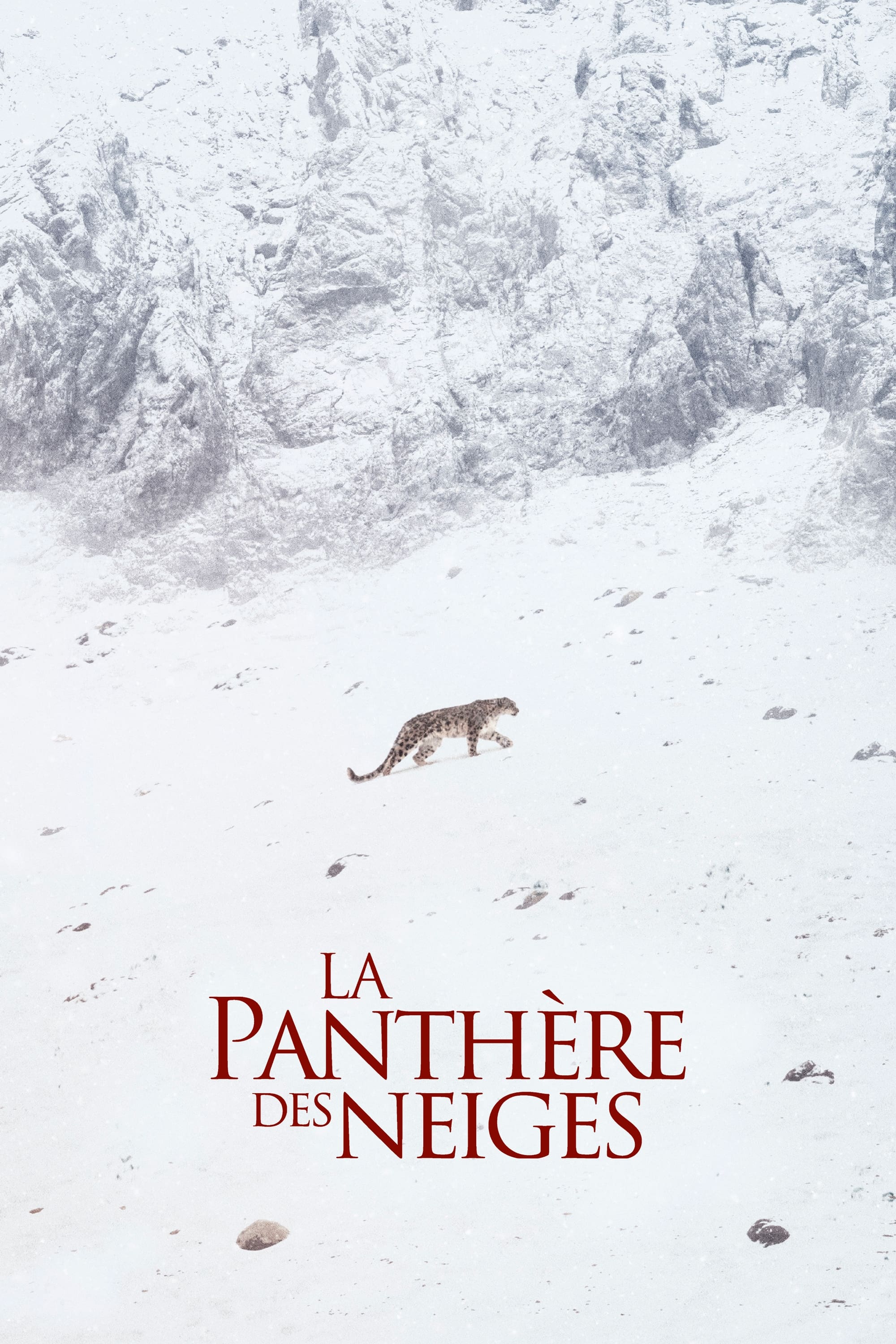 Affiche du film "La Panthère des neiges"