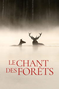 Le Chant des forêts