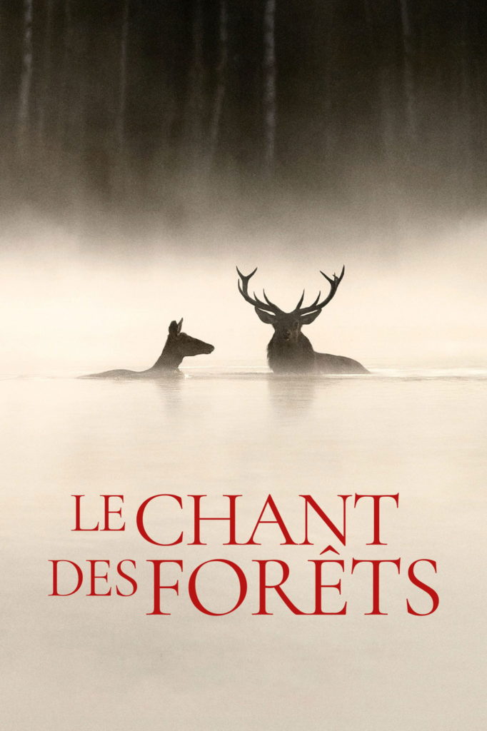 Affiche du film "Le Chant des forêts"