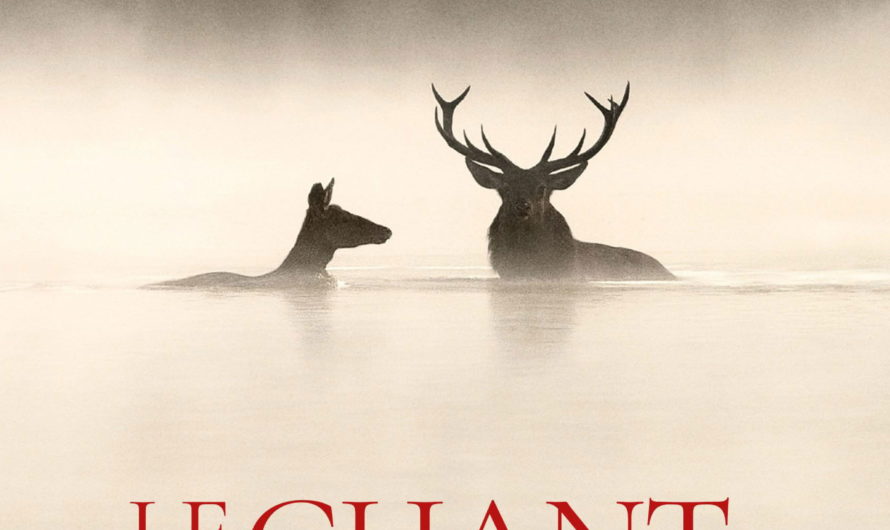 Le Chant des forêts